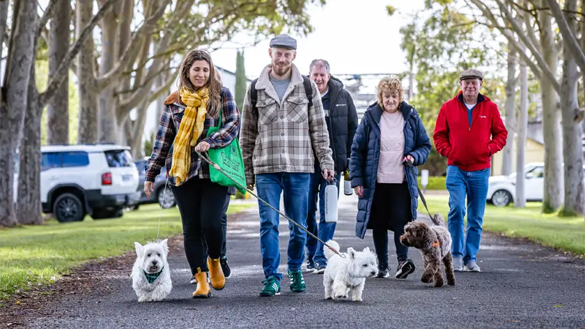 people walk with dogs in coonawarra along walking trail