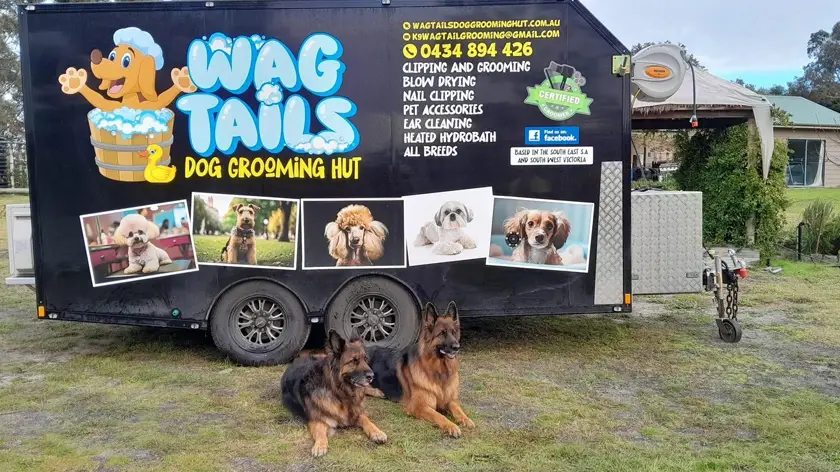 dogs sit in front of tag tails grooming mobile van